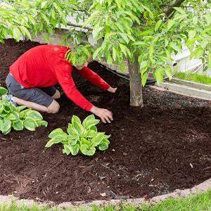 Weed control Mat, Ground Cover, Flower Bed, Mulch, Pavers, Edging, Garden Stakes, Weed Barrier,  Landscape 18