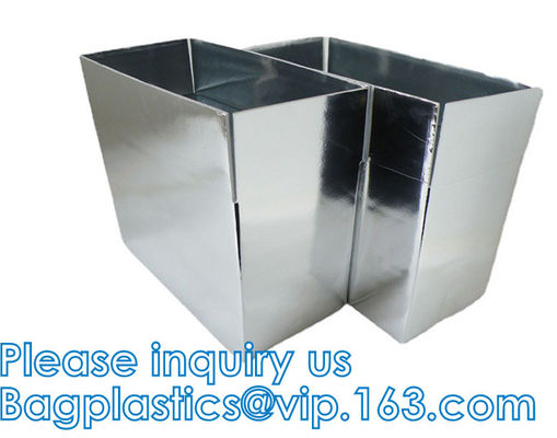 Cooler Box Container Packing Carton Foil Foam Lined Keep Cold Hot For Hours Thermal Shipping Containers