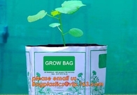 Planter Bags, Grow Bags, Cultivating Bags, Nursery Pot, Greenhouse, Agricultural Film,  Horticulture Garden