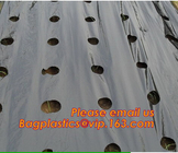 Greenhouse, Agricultural Polyethylene Film, Mulch Films, Horticultural Products, Perforated Wrap, Tomato, Flowers