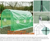 Hydroponic Grow Tent Kits, Mylar Grow Tent, 600D Gardening Green House, Polytunnel, Mini Walk-in Greenhouse