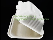 Biodegradable, Sugar Cane, Sugarcane Bamboo Pulp, Bento Box, Bagasse Food Container, Take Out Box, Plates &amp; Bowls