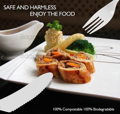 Ecofriendly Cutlery, Fork, Knife, Spoon, Caterers &amp; Canteens, Restaurants, Fast Food And Takeaway, Food Service