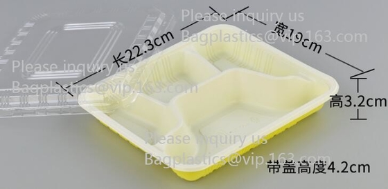 Clamshell Hinged Blister Salad Foldable Pack, Compartment Meal Prep Container Airtight Take Away Lunch Box
