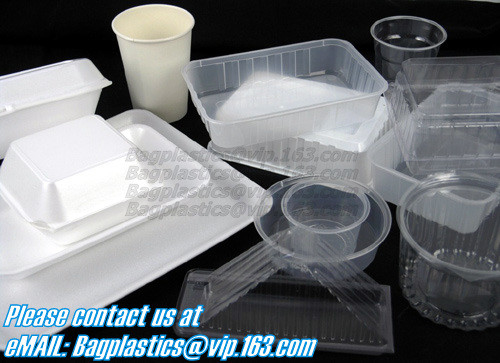 Clamshell Hinged Blister Salad Foldable Pack, Compartment Meal Prep Container Airtight Take Away Lunch Box