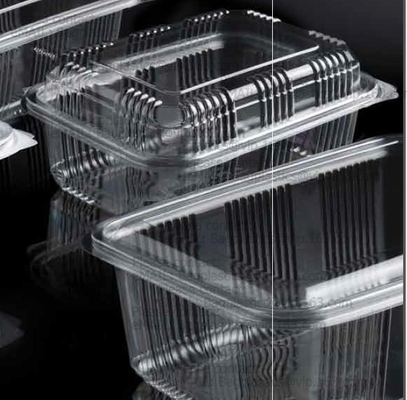 Clamshell Hinged Blister Salad Foldable Pack, Compartment Meal Prep Container Airtight Take Away Lunch Box