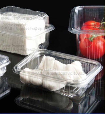 Clamshell Hinged Blister Salad Foldable Pack, Compartment Meal Prep Container Airtight Take Away Lunch Box