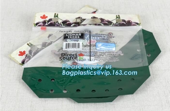 Vented Grape Pouch Bags, Vented Perforated Pepper Zipper Bags, Vented Apple Slider Bags, Air Hole Oranges Bags