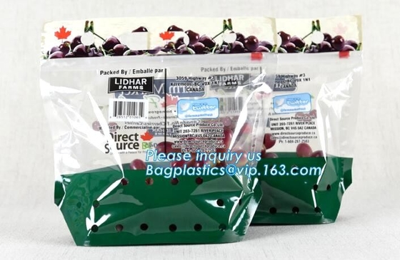 Vented Grape Pouch Bags, Vented Perforated Pepper Zipper Bags, Vented Apple Slider Bags, Air Hole Oranges Bags