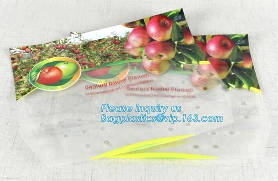 Vented Grape Pouch Bags, Vented Perforated Pepper Zipper Bags, Vented Apple Slider Bags, Air Hole Oranges Bags