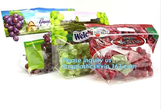 Empaque Alimentos Zip lockk Stand Up Plastic Snack Nut Packaging Bag Mango Dried Fruit Dry Food Packaging Bag