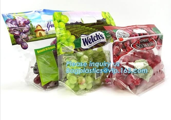 Empaque Alimentos Zip lockk Stand Up Plastic Snack Nut Packaging Bag Mango Dried Fruit Dry Food Packaging Bag