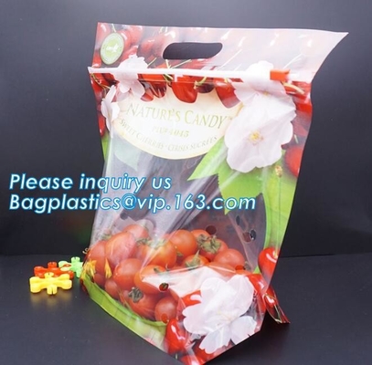 Empaque Alimentos Zip lockk Stand Up Plastic Snack Nut Packaging Bag Mango Dried Fruit Dry Food Packaging Bag
