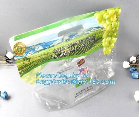 Empaque Alimentos Zip lockk Stand Up Plastic Snack Nut Packaging Bag Mango Dried Fruit Dry Food Packaging Bag