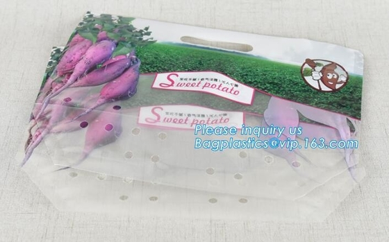Empaque Alimentos Zip lockk Stand Up Plastic Snack Nut Packaging Bag Mango Dried Fruit Dry Food Packaging Bag