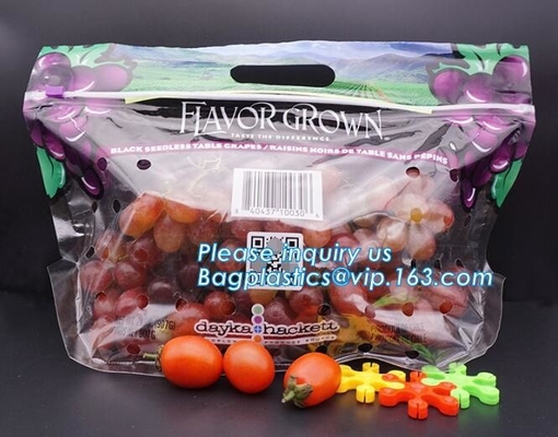 Empaque Alimentos Zip lockk Stand Up Plastic Snack Nut Packaging Bag Mango Dried Fruit Dry Food Packaging Bag