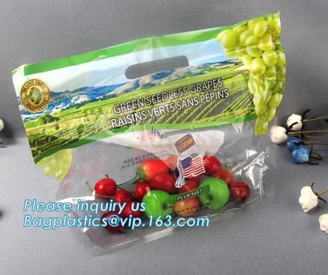 Empaque Alimentos Zip lockk Stand Up Plastic Snack Nut Packaging Bag Mango Dried Fruit Dry Food Packaging Bag