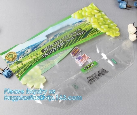Empaque Alimentos Zip lockk Stand Up Plastic Snack Nut Packaging Bag Mango Dried Fruit Dry Food Packaging Bag