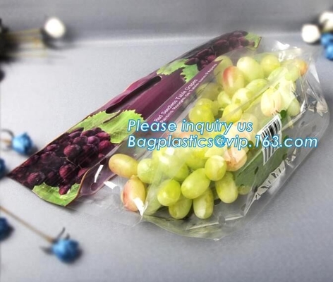 Empaque Alimentos Zip lockk Stand Up Plastic Snack Nut Packaging Bag Mango Dried Fruit Dry Food Packaging Bag