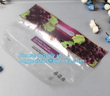 Empaque Alimentos Zip lockk Stand Up Plastic Snack Nut Packaging Bag Mango Dried Fruit Dry Food Packaging Bag