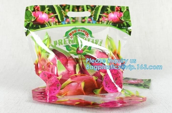 Empaque Alimentos Zip lockk Stand Up Plastic Snack Nut Packaging Bag Mango Dried Fruit Dry Food Packaging Bag