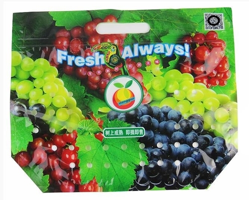 Empaque Alimentos Zip lockk Stand Up Plastic Snack Nut Packaging Bag Mango Dried Fruit Dry Food Packaging Bag