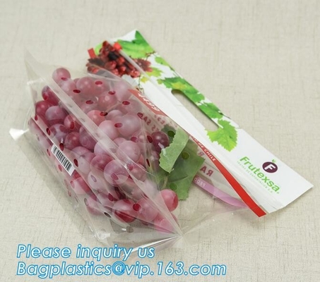 Fresh Lettuce Salad Fruits Pouches BOPP Anti Fog Leafy Vegetables Packaging Bags, vegebag, Print Logo