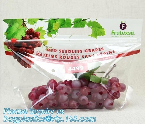 Fresh Lettuce Salad Fruits Pouches BOPP Anti Fog Leafy Vegetables Packaging Bags, vegebag, Print Logo