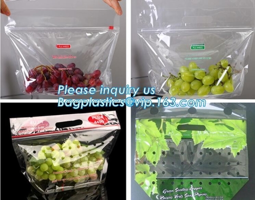 Fresh Lettuce Salad Fruits Pouches BOPP Anti Fog Leafy Vegetables Packaging Bags, vegebag, Print Logo