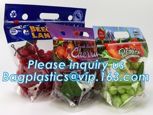 Fresh Lettuce Salad Fruits Pouches BOPP Anti Fog Leafy Vegetables Packaging Bags, vegebag, Print Logo