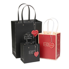 Recyclable Shopping Bags, Retail Bags, Party Bags, Merchandise Bags, Favor Bags, Merchandise Retail Bags