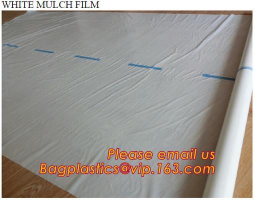 perforated ground film, Vapor Barrier film, Greenhouse film, Agricultural Panda Film, Reflective Maylar Film