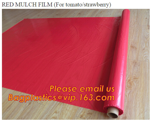 perforated ground film, Vapor Barrier film, Greenhouse film, Agricultural Panda Film, Reflective Maylar Film