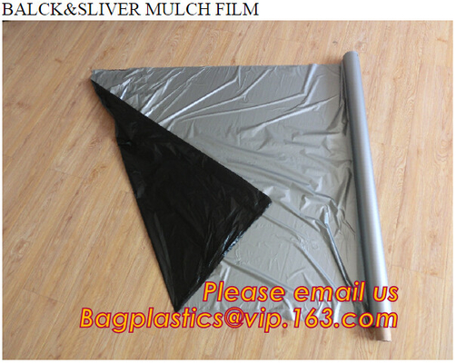 perforated ground film, Vapor Barrier film, Greenhouse film, Agricultural Panda Film, Reflective Maylar Film