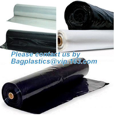 perforated ground film, Vapor Barrier film, Greenhouse film, Agricultural Panda Film, Reflective Maylar Film