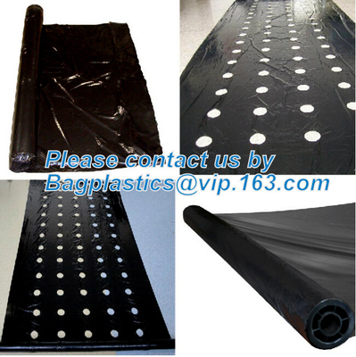 perforated ground film, Vapor Barrier film, Greenhouse film, Agricultural Panda Film, Reflective Maylar Film