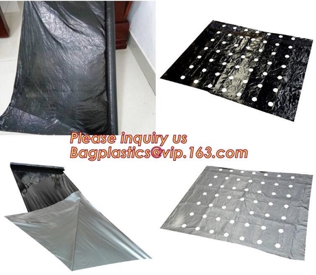 perforated ground film, Vapor Barrier film, Greenhouse film, Agricultural Panda Film, Reflective Maylar Film