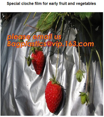 perforated ground film, Vapor Barrier film, Greenhouse film, Agricultural Panda Film, Reflective Maylar Film