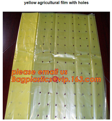 perforated ground film, Vapor Barrier film, Greenhouse film, Agricultural Panda Film, Reflective Maylar Film