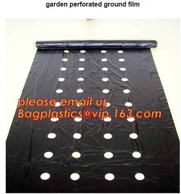 perforated ground film, Vapor Barrier film, Greenhouse film, Agricultural Panda Film, Reflective Maylar Film