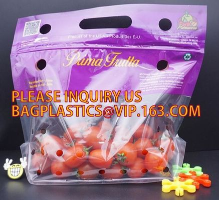 buy Eco Friendly, Resealable Fruits Vegetable, Food Packaging, Foil Biodegradable Dried Fruit Nut Polyester Film Bag online manufacturer