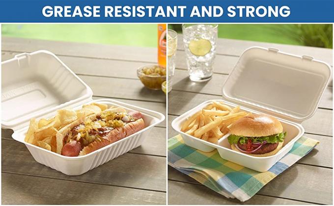 Compostable Clamshell Take Out Food Containers, Natural Disposable Bagasse, Eco-Friendly, Sugar Cane Fibers 0