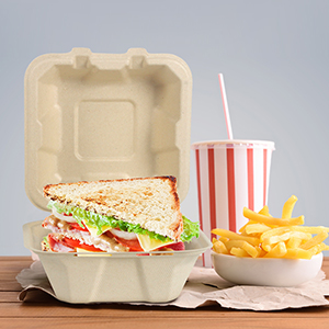 Compostable Clamshell Take Out Food Containers, Natural Disposable Bagasse, Eco-Friendly, Sugar Cane Fibers 5