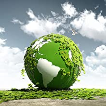 Compostable Clamshell Take Out Food Containers, Natural Disposable Bagasse, Eco-Friendly, Sugar Cane Fibers 7