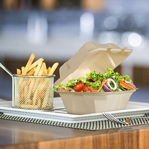 Compostable Clamshell Take Out Food Containers, Natural Disposable Bagasse, Eco-Friendly, Sugar Cane Fibers 6