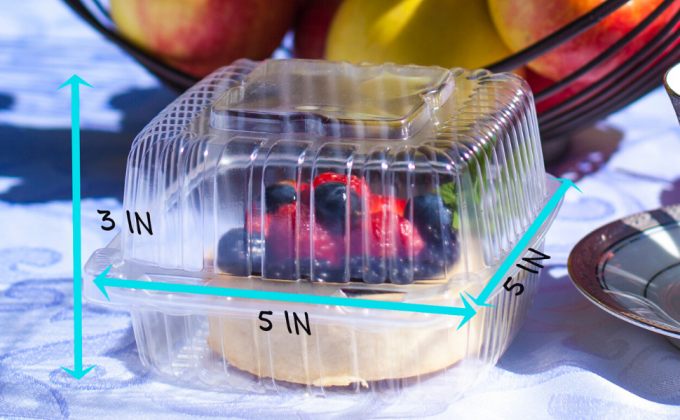 Clamshell Hinged Blister Salad Foldable Pack, Compartment Meal Prep Container Airtight Take Away Lunch Box 11