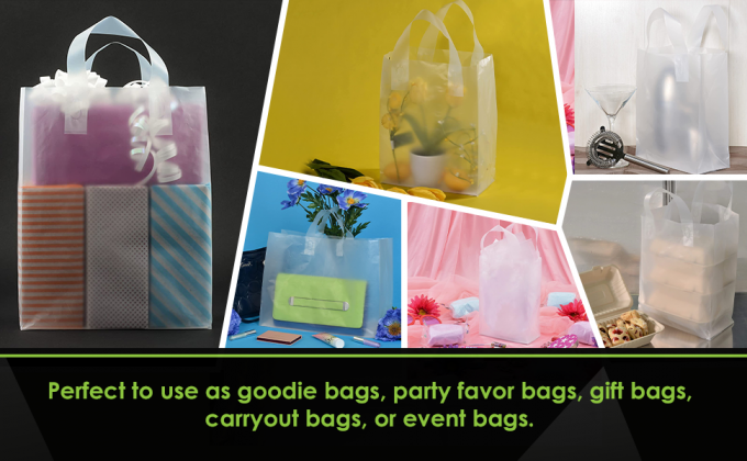 Loop Handles, Shopping Bags With Gusset Cardboard Bottom, Frosted Merchandise Retail Bags, Gifts, Boutiques 1