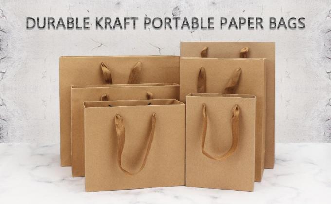 Retail Bag with Rope Handle, Metallizing, Business Bags, Craft Bags, Party Bags, Recyclable Bags 0