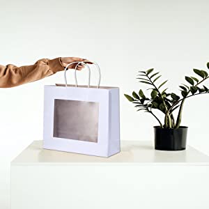 Retail Bag with Rope Handle, Metallizing, Business Bags, Craft Bags, Party Bags, Recyclable Bags 10