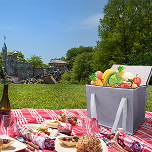 Oxford Cloth Insulated Reusable Grocery Shopping Bags, XL Size, Large Picnic Cooler Bag, Zippered Top Cold 11